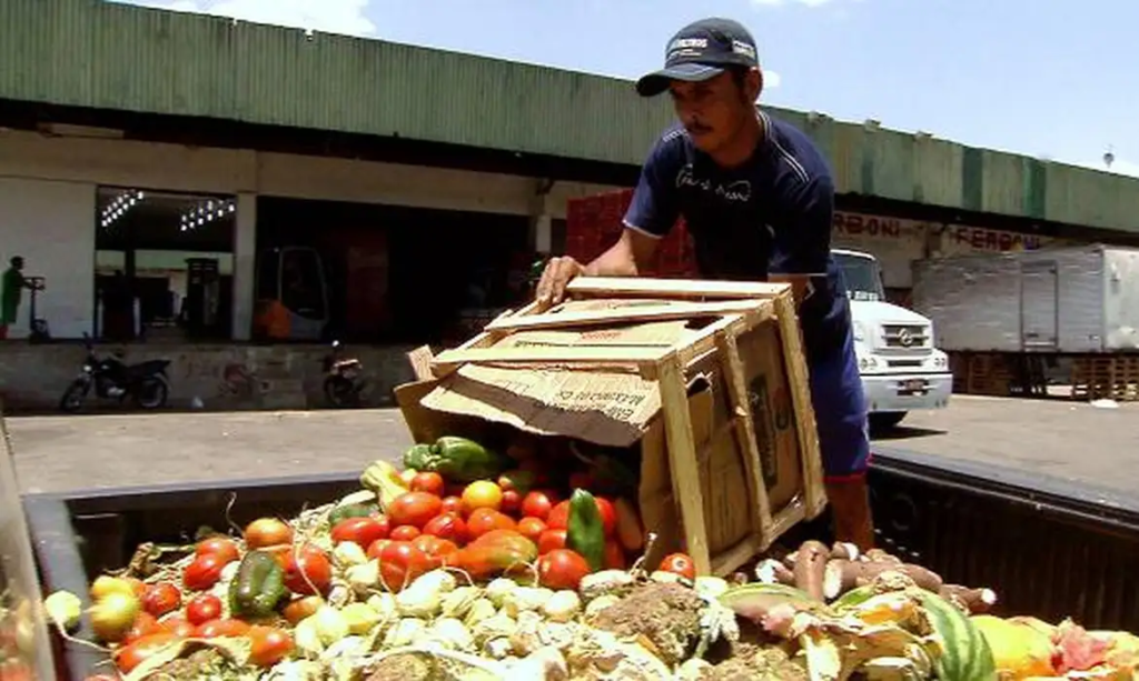 Lei cria política contra desperdício de comida em Goiás