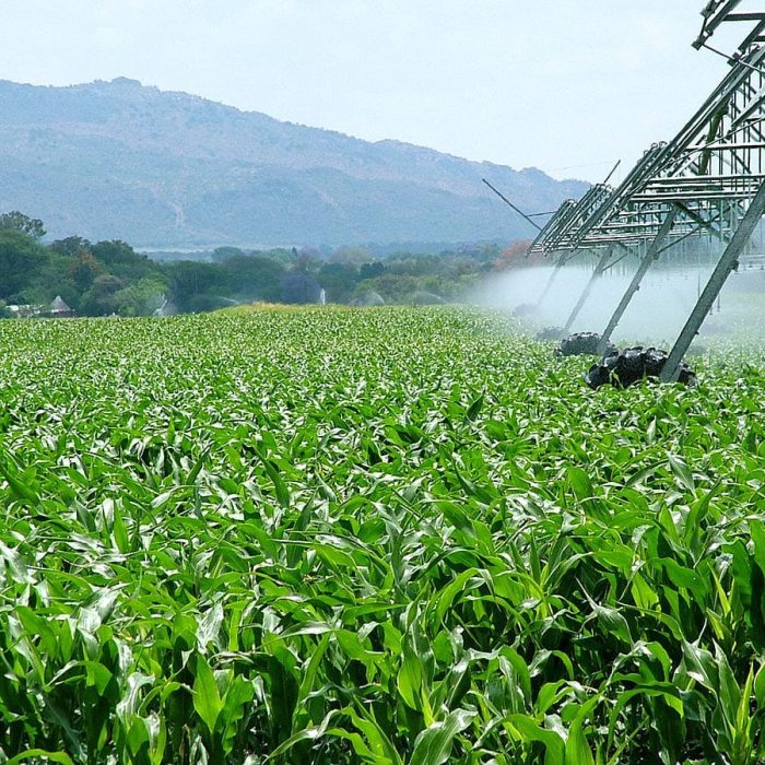 Agro Wikimedia Agro Wikimedia