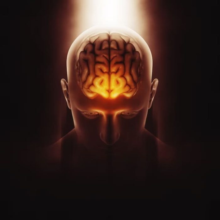 Cérebro 01