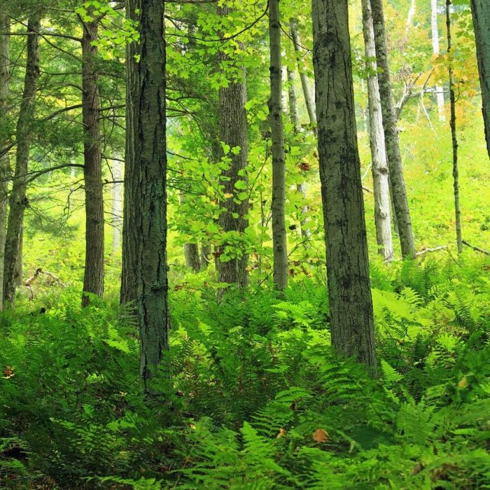 PIXNIO-1405796-1280x853