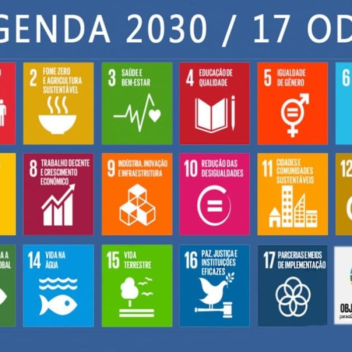 Virmondes propõe política para implementar Agenda 2030 em Goiás