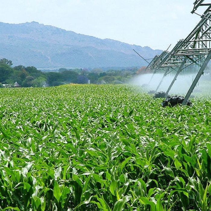agroindustria Proposta que incentiva agroindústrias goianas tem aval da CCJ