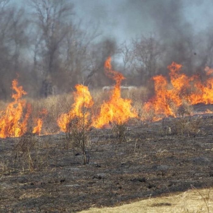 Virmondes quer instituir Política de Manejo Integrado do Fogo