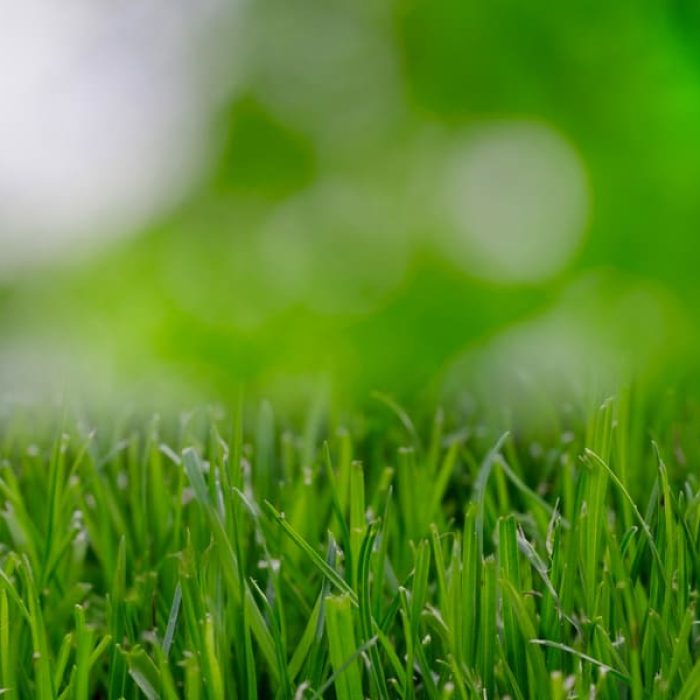 Virmondes propõe criação da Política do Hidrogênio Verde